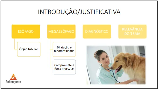 Slide de introdução e justificativa de TCC de Medicina Veterinária no padrão Anhanguera